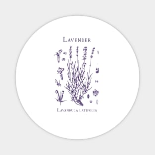 Vintage Lavender 90s Graphic T-Shirt, Retro Lavender Botanical Magnet